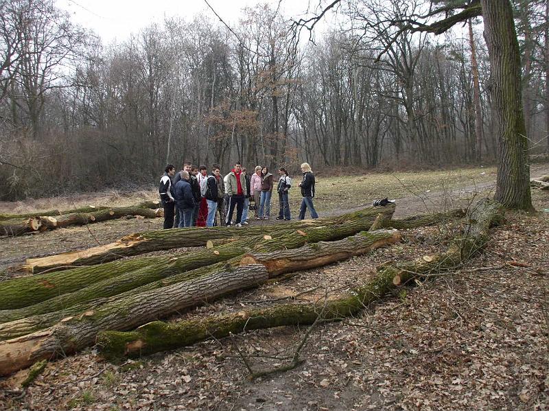Branne 3 (64).JPG
